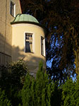 IMGP5647.jpg