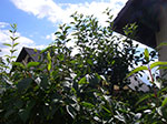 IMGP5761.jpg