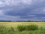 IMGP5768.jpg