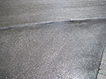IMGP5790.jpg