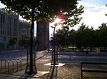 IMGP5799.jpg