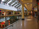 IMGP5807.jpg