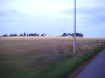 IMGP5850.jpg