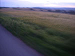 IMGP5858.jpg