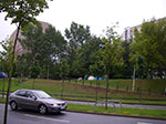 IMGP5885.jpg
