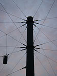 IMGP5935.jpg