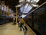 IMGP5963.jpg