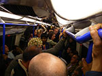 IMGP5975.jpg