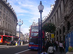 IMGP5981.jpg
