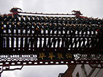 IMGP6016.jpg