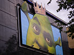 IMGP6029.jpg