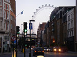 IMGP6126.jpg