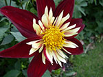 IMGP6226.jpg