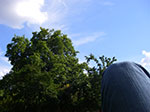 IMGP6227.jpg