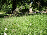 IMGP6228.jpg