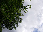 IMGP6229.jpg