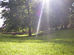 IMGP6230.jpg