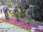 IMGP6240.jpg