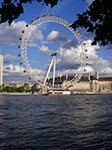 IMGP6243.jpg