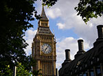 IMGP6247.jpg