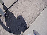 IMGP6302.jpg