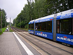 IMGP6307.jpg