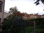 IMGP6314.jpg