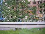 IMGP6329.jpg