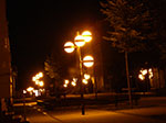 IMGP6366.jpg