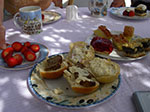 IMGP6383.jpg