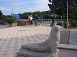 IMGP6399.jpg