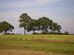 IMGP6430.jpg