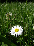 IMGP6514.jpg