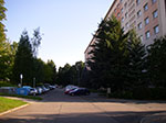 IMGP6519.jpg