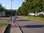IMGP6521.jpg