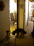 IMGP6528.jpg