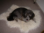 IMGP6534.jpg