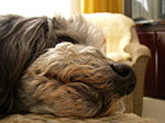IMGP6540.jpg
