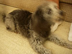 IMGP6547.jpg