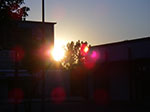 IMGP6565.jpg