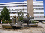 IMGP6574.jpg