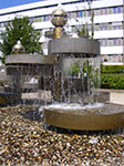 IMGP6575.jpg