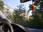 IMGP6576.jpg