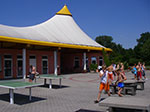 IMGP6583.jpg