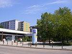 IMGP6597.jpg