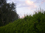 IMGP6599.jpg