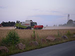 IMGP6601.jpg