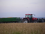 IMGP6609.jpg