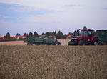 IMGP6616.jpg