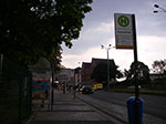 IMGP6667.jpg